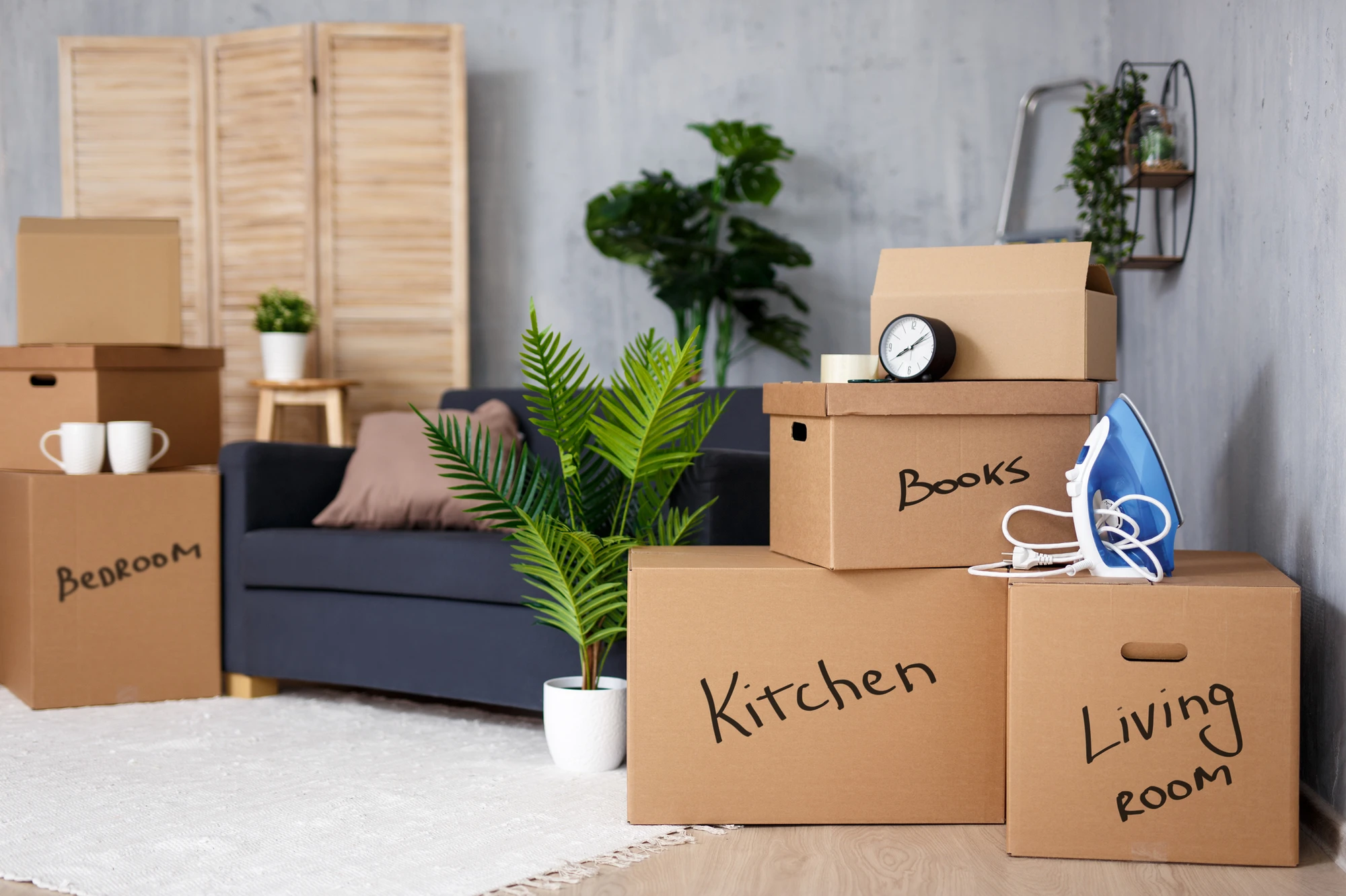 Affordable Mover