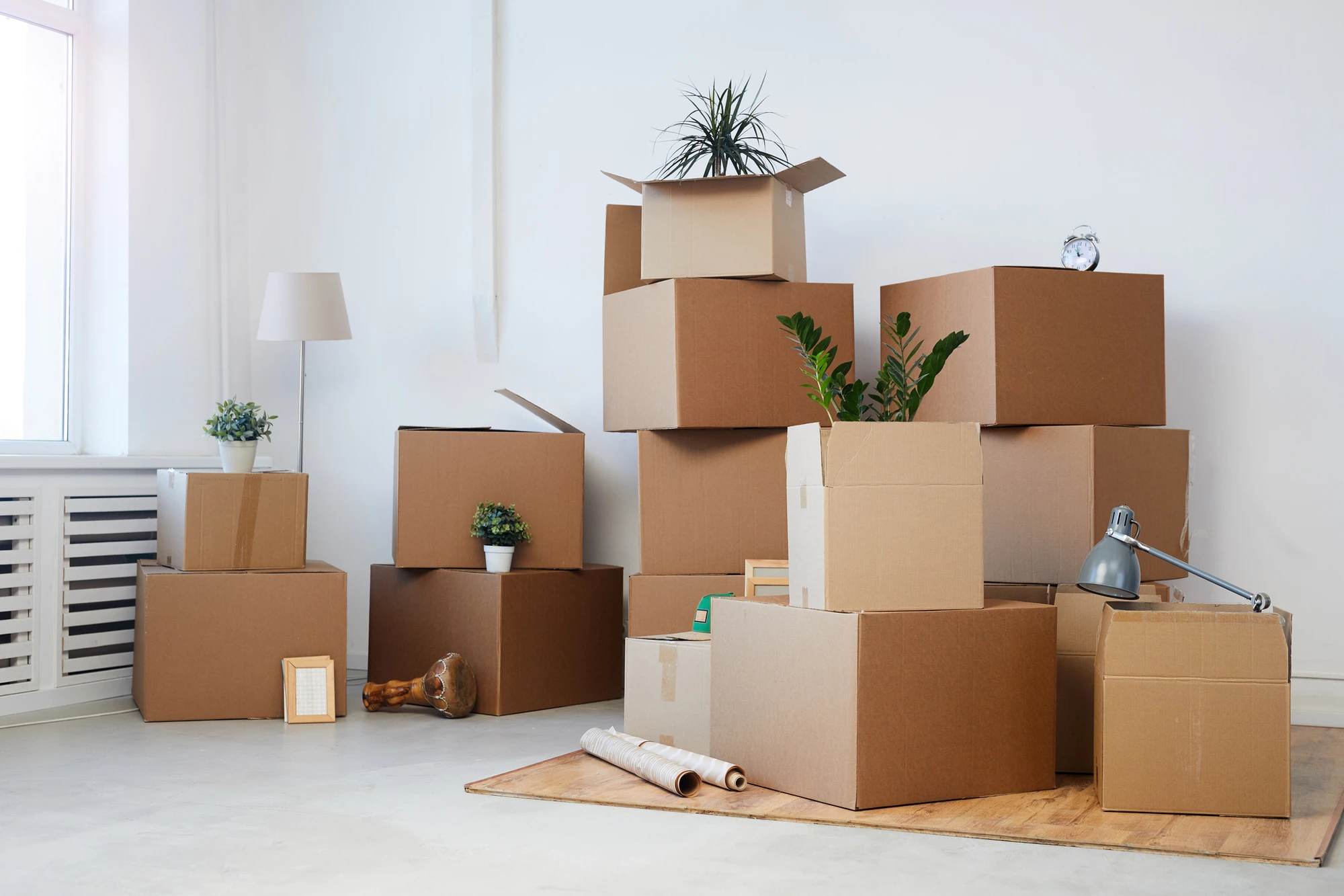 Professional Mover