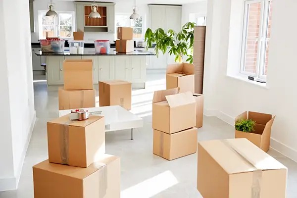 Professional Mover
